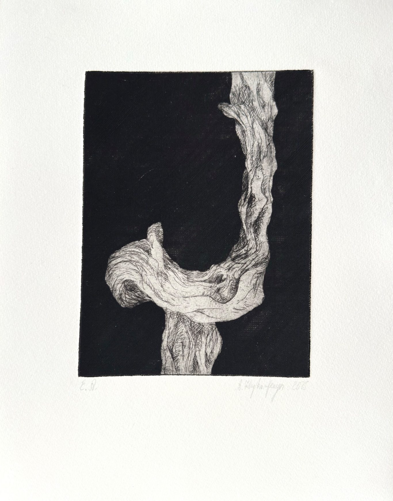 Ohne Titel
