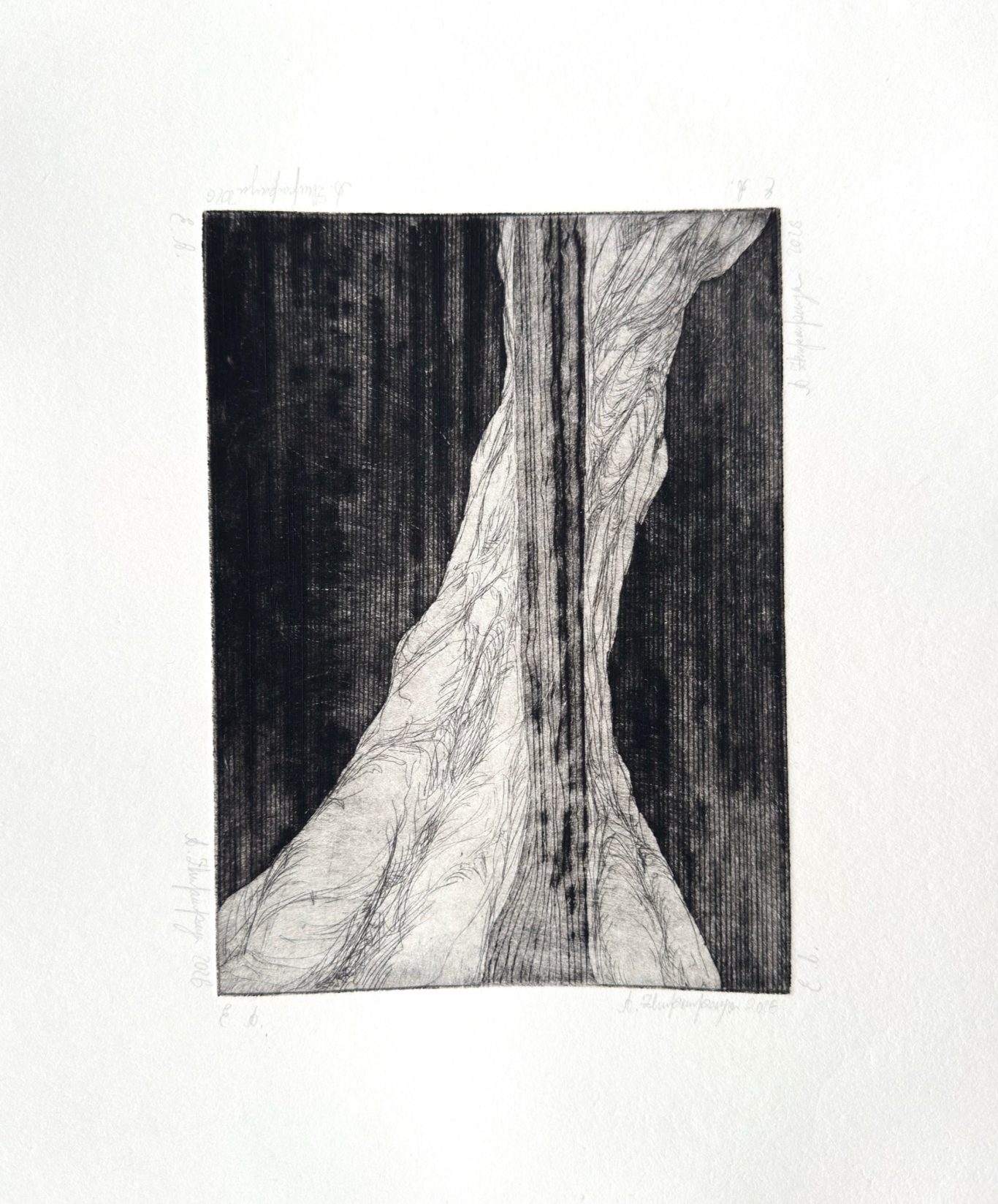 Ohne Titel